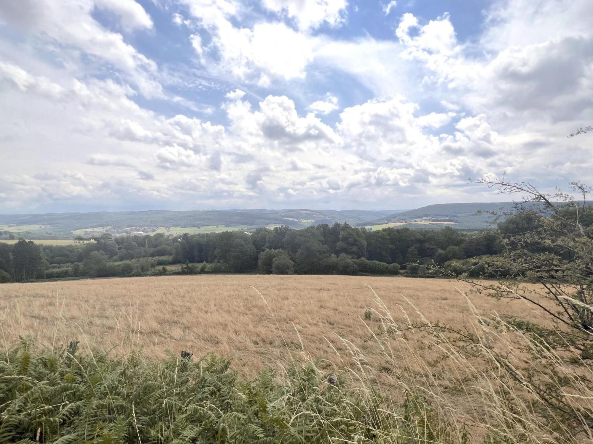 Sur Les Thiers Villa Lierneux Buitenkant foto